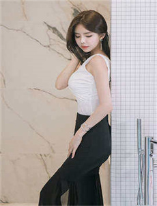 爱上查美乐剧情介绍