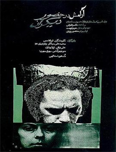 怀孕被裁后,我无所畏惧