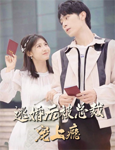 美国内战中的爱尔兰军旅